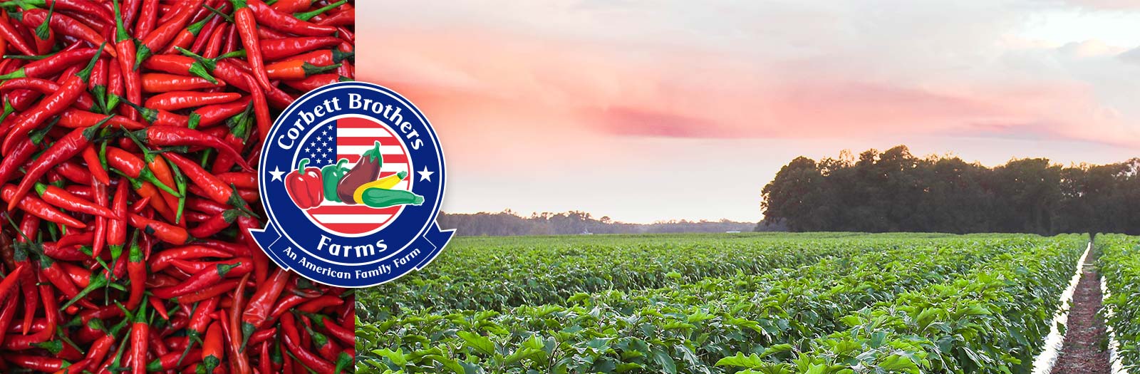 Corbett Brothers Farms - Vegetables Page Header